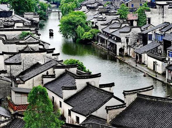那些被家暴还不离婚的人,都是为什么?知识星球平台,高品质内容尽在其中